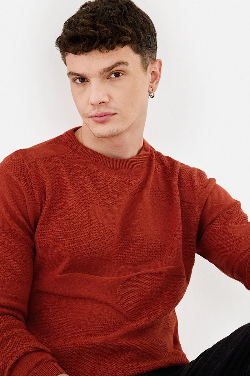 SNITCH Orange Regular Fit Textured 100% Cotton Sweater for Men | Best Price UAE